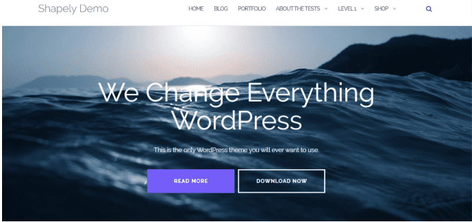 Shapely WordPress theme - free WordPress portfolio themes