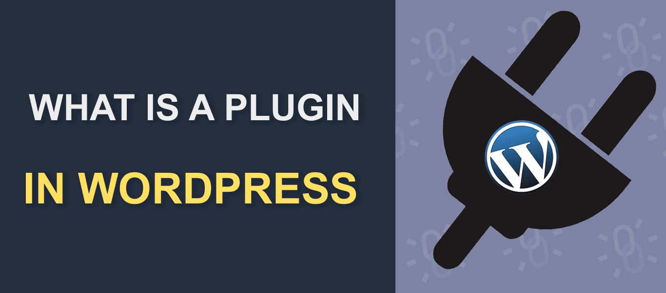 What Is A Plugin