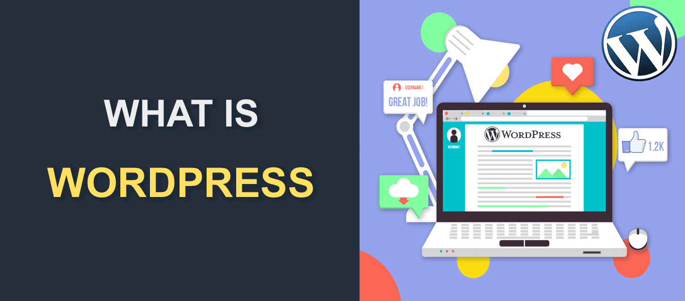What is WP?