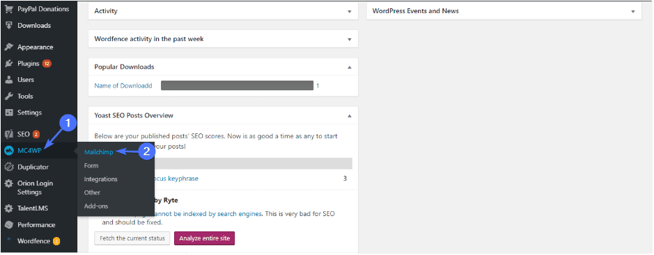 WordPress Dashboard: mailchimp plugin