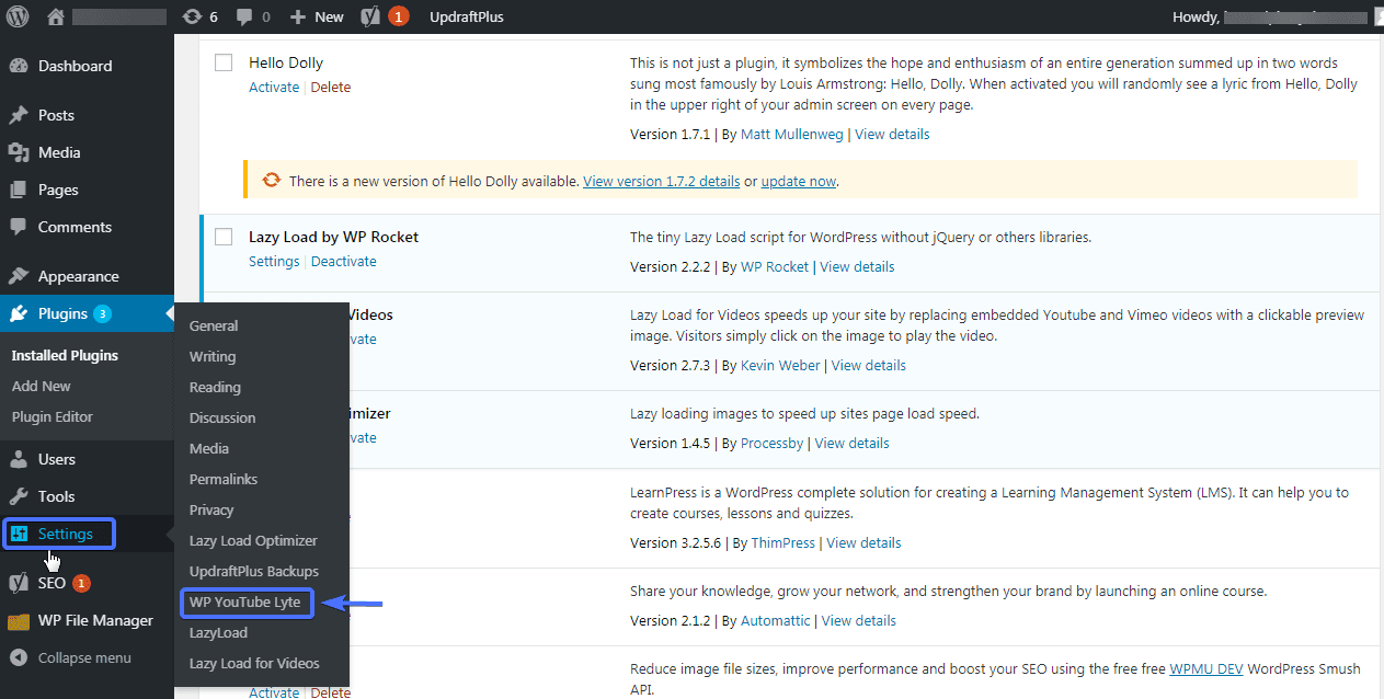 WordPress YouTube Lyte settings
