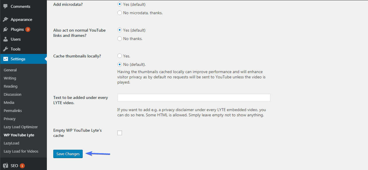 WordPress YouTube Lyte settings