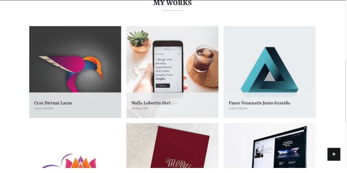 Zakra Portfolio Section