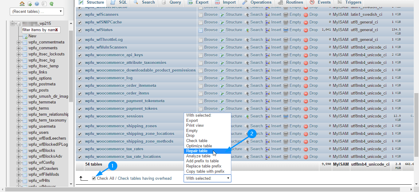 Repair tables - Blank WordPress Admin Panel
